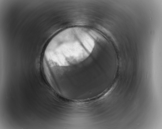 X0000088081170200706081724