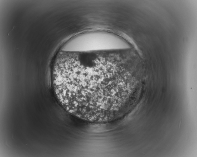 X0000088081171200706081724