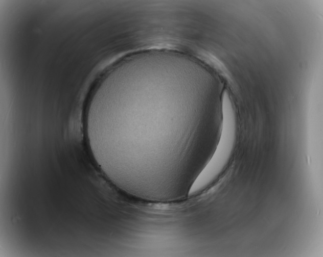X0000088081172200706081724