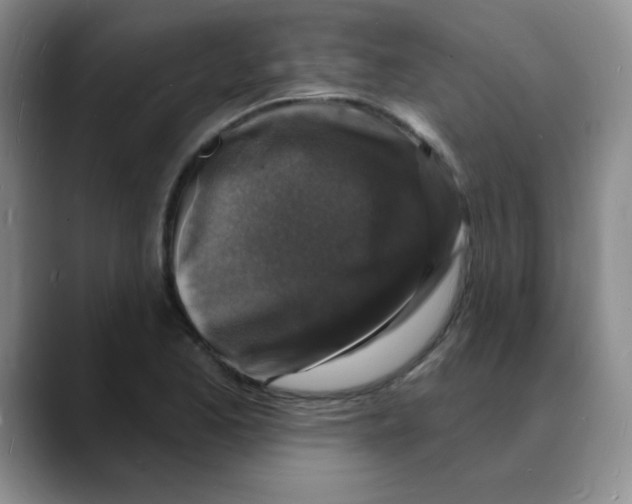 X0000088081173200706081723