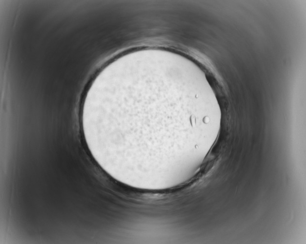 X0000088081176200706081723