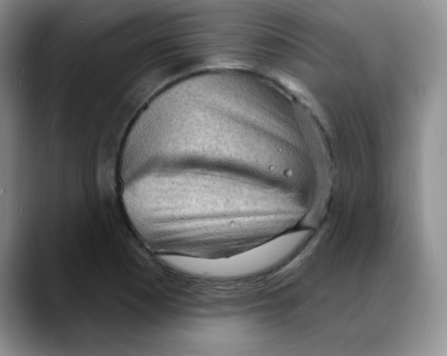 X0000088081177200706081723