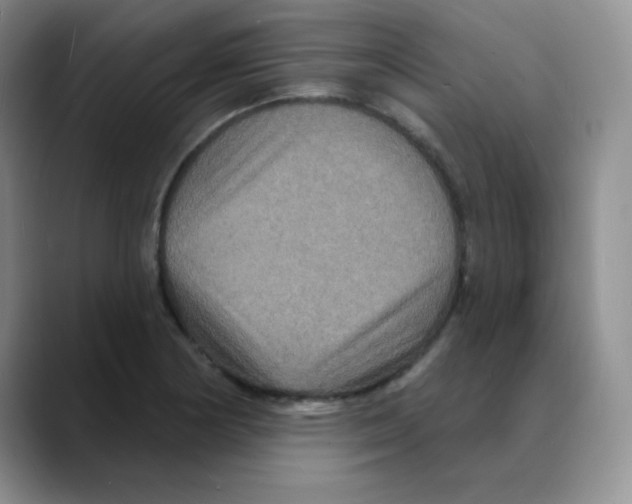 X0000088081178200706081723