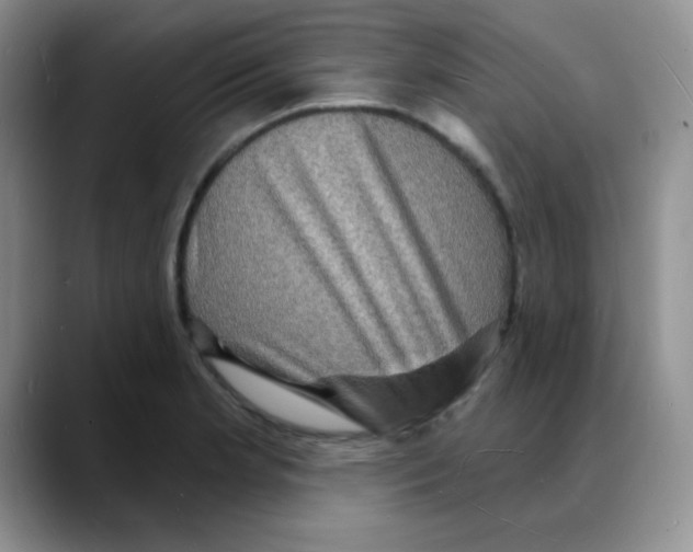 X0000088081181200706081723