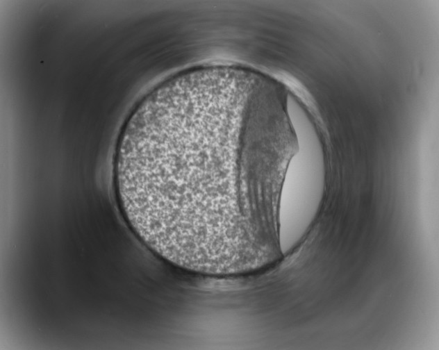 X0000088081183200706081723