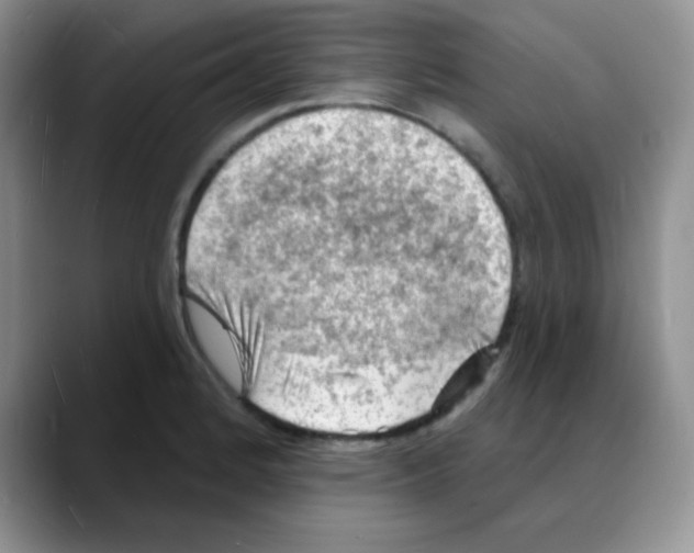 X0000088081184200706081723