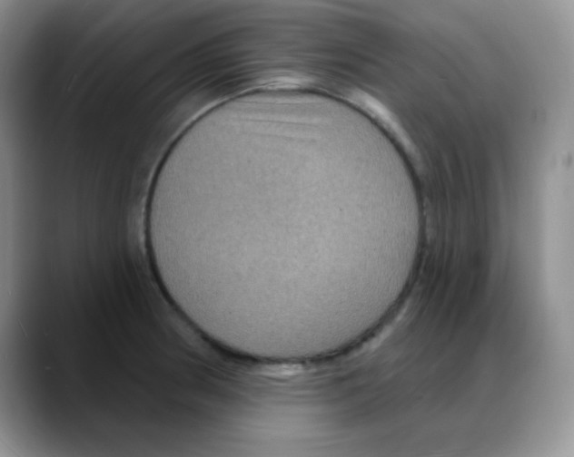 X0000088081186200706081723
