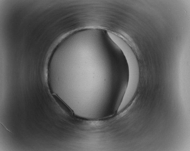 X0000088081188200706081723