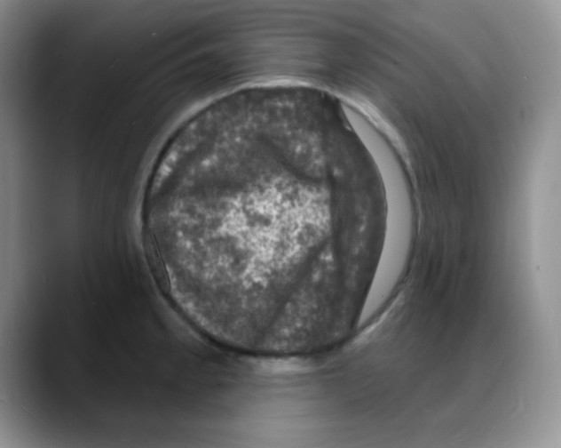 X0000088081189200706081723