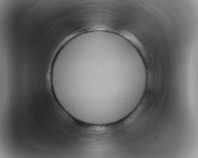 X0000088081190200706081723