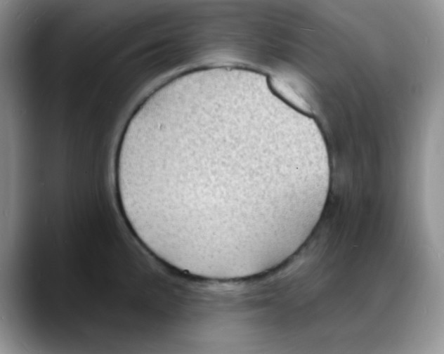 X0000088081191200706081723