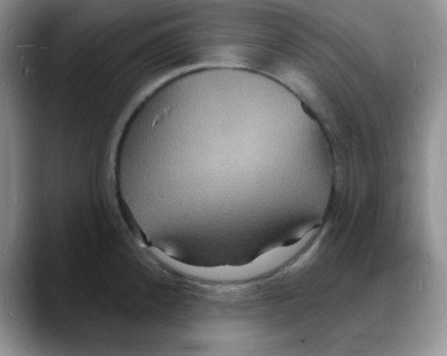 X0000088081192200706081723
