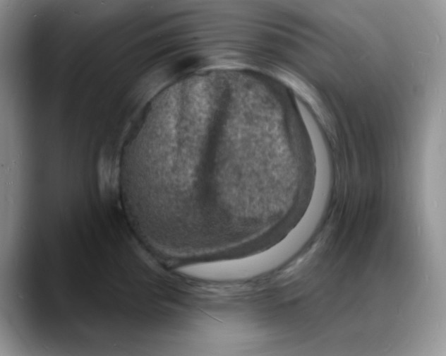 X0000088081193200706081723