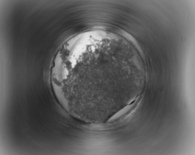 X0000088081194200706081723