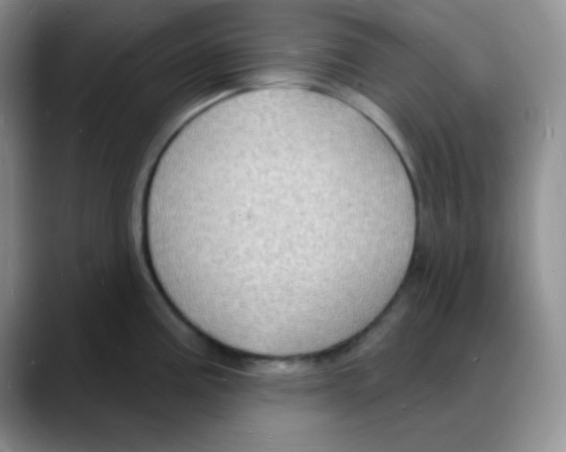 X0000088081195200706081723