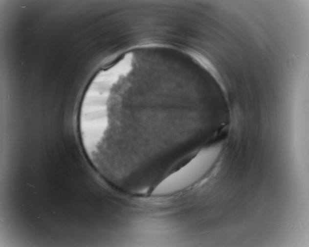 X0000088081197200706081723