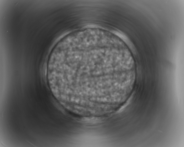 X0000088081198200706081723