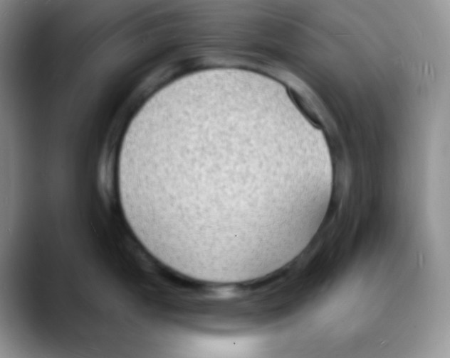 X0000088081199200706081723
