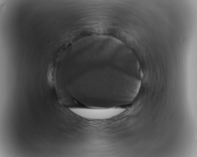 X0000088081202200706081723