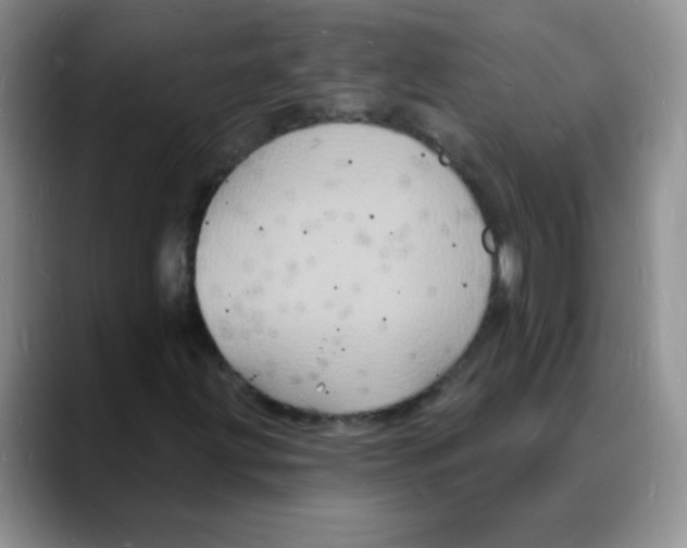 X0000088081203200706081723