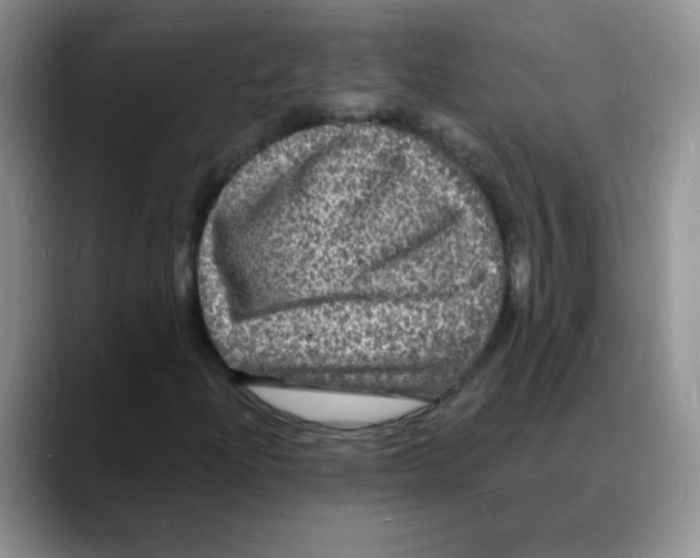 X0000088081204200706081723