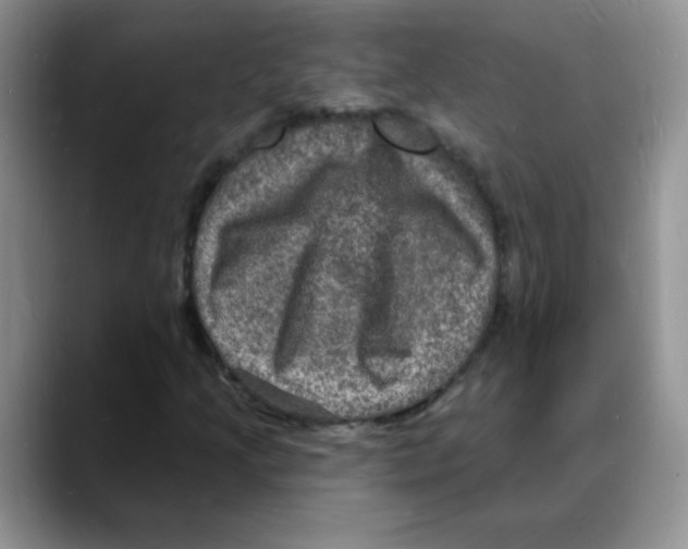 X0000088081205200706081723