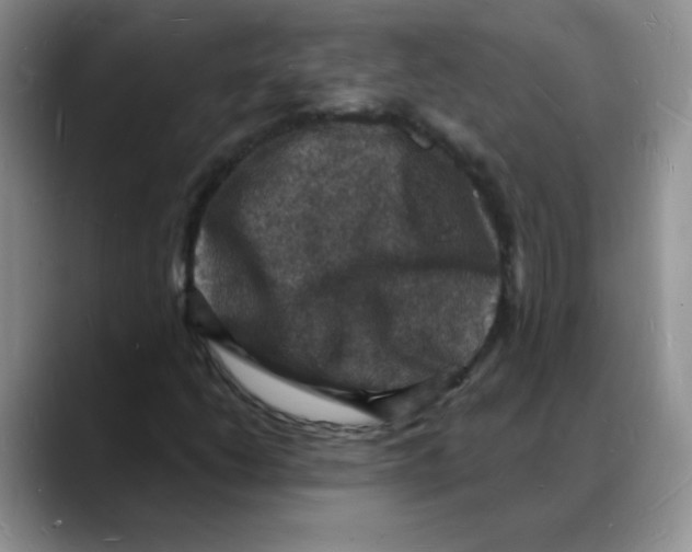 X0000088081206200706081723