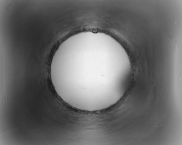 X0000088081207200706081723
