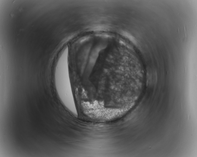 X0000088081213200706081723