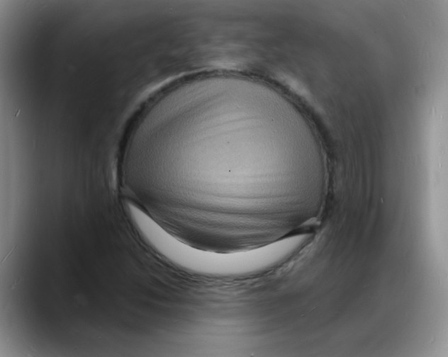X0000088081214200706081723