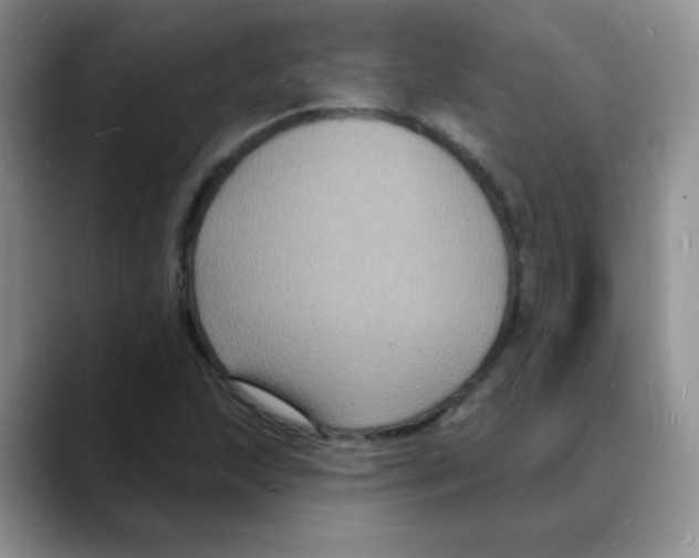 X0000088081215200706081723