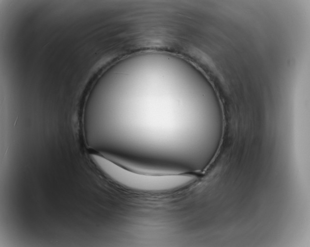 X0000088081218200706081723