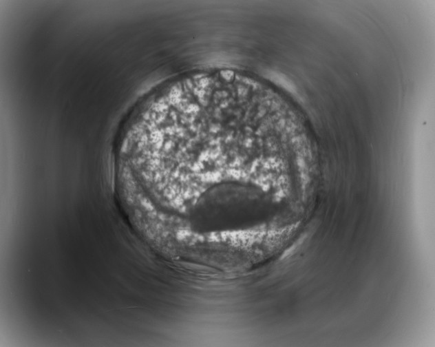 X0000088081219200706081723