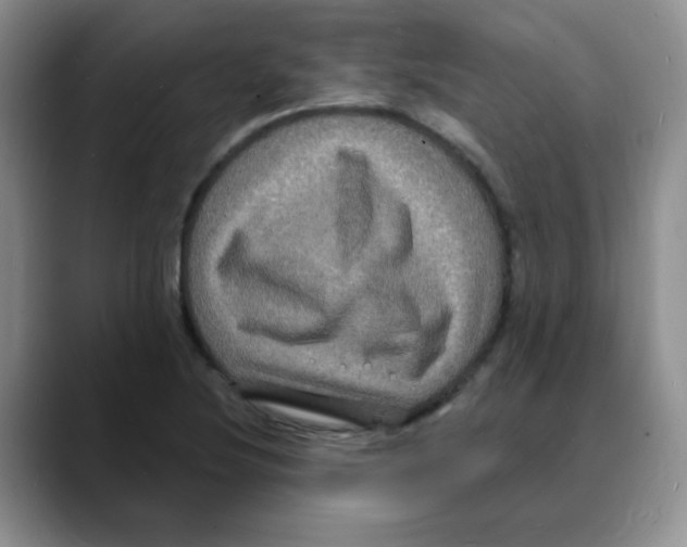 X0000088081220200706081723