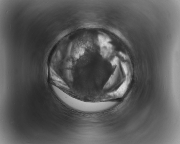 X0000088081221200706081723