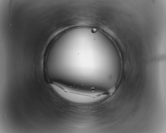 X0000088081222200706081723