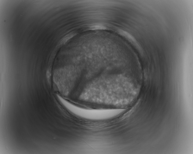 X0000088081225200706081723