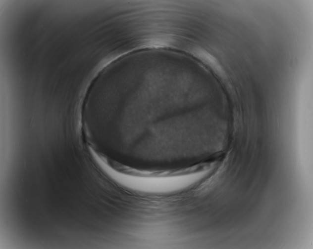 X0000088081226200706081723
