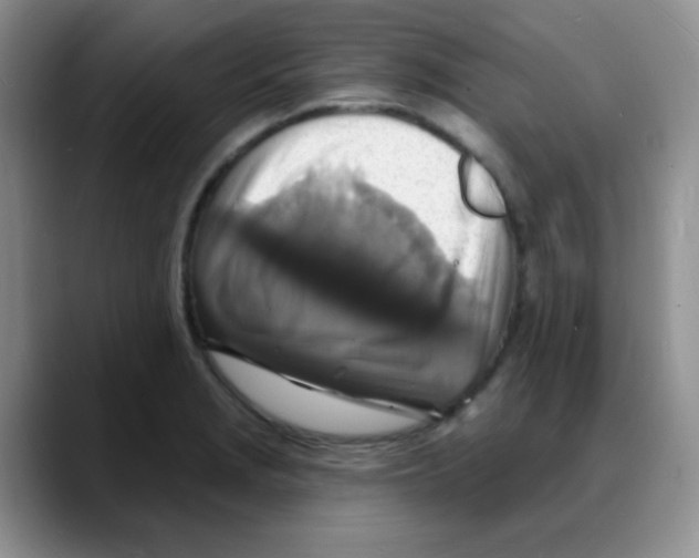 X0000088081229200706081723