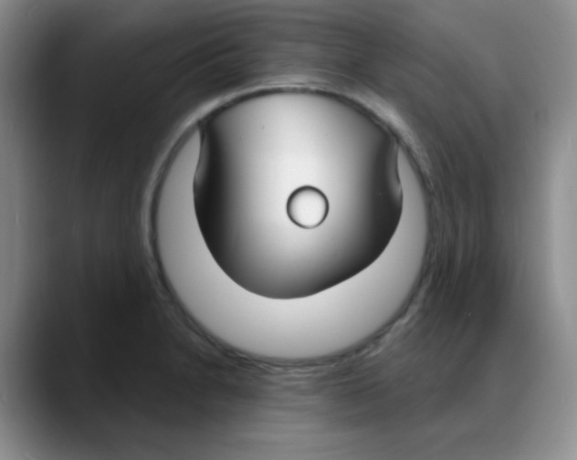X0000088081230200706081723