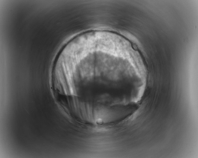 X0000088081231200706081723