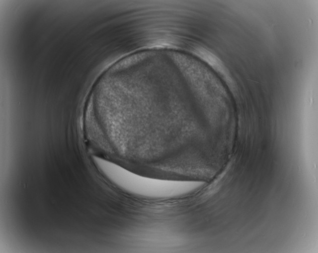 X0000088081234200706081723