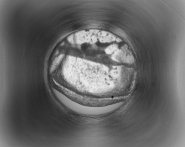 X0000088081235200706081723