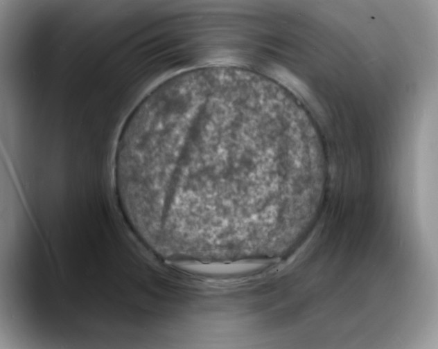 X0000088081236200706081723