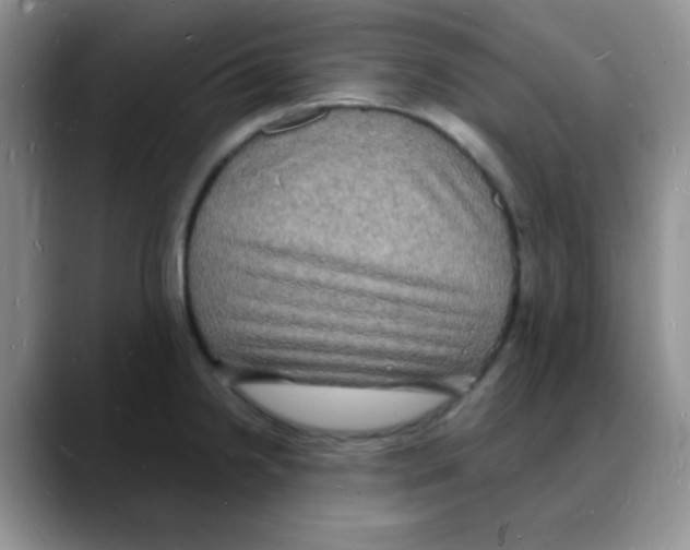 X0000088081238200706081723