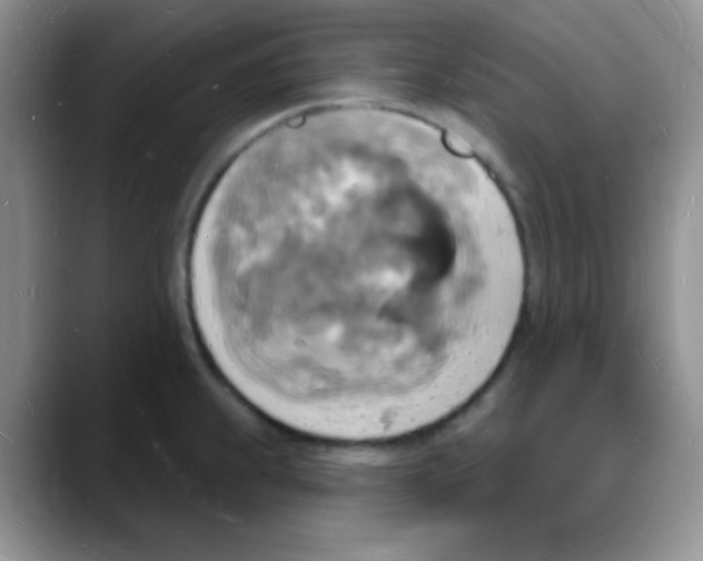 X0000088081239200706081723