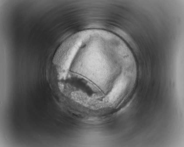 X0000088081241200706081723