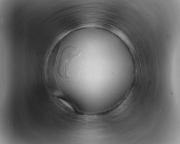 X0000088081242200706081723