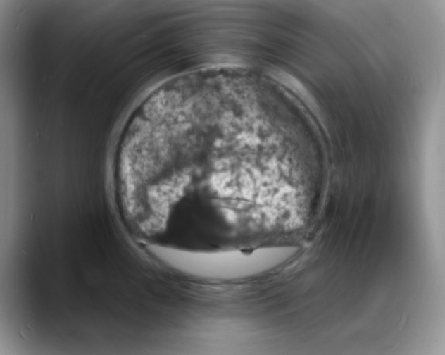 X0000088081243200706081723