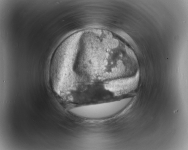 X0000088081244200706081723